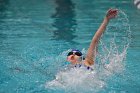Swimming & Diving vs Babson  Swimming & Diving vs Babson College. - Photo by Keith Nordstrom : Wheaton, Swimming